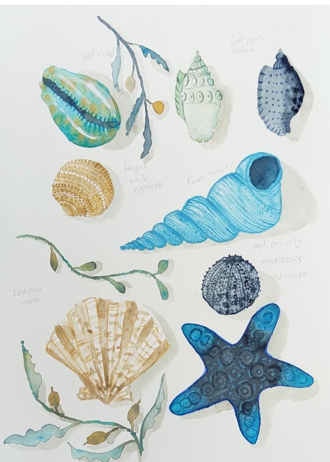 more-projects-from-class-img