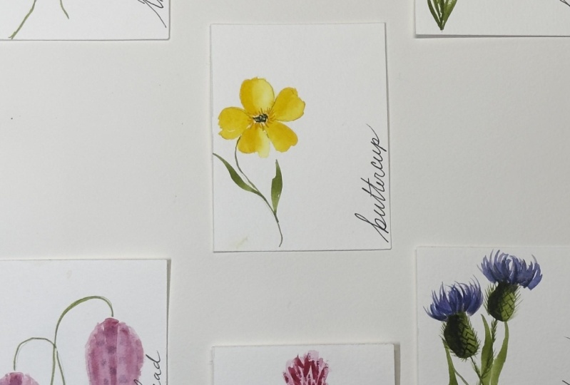 Wildflowers