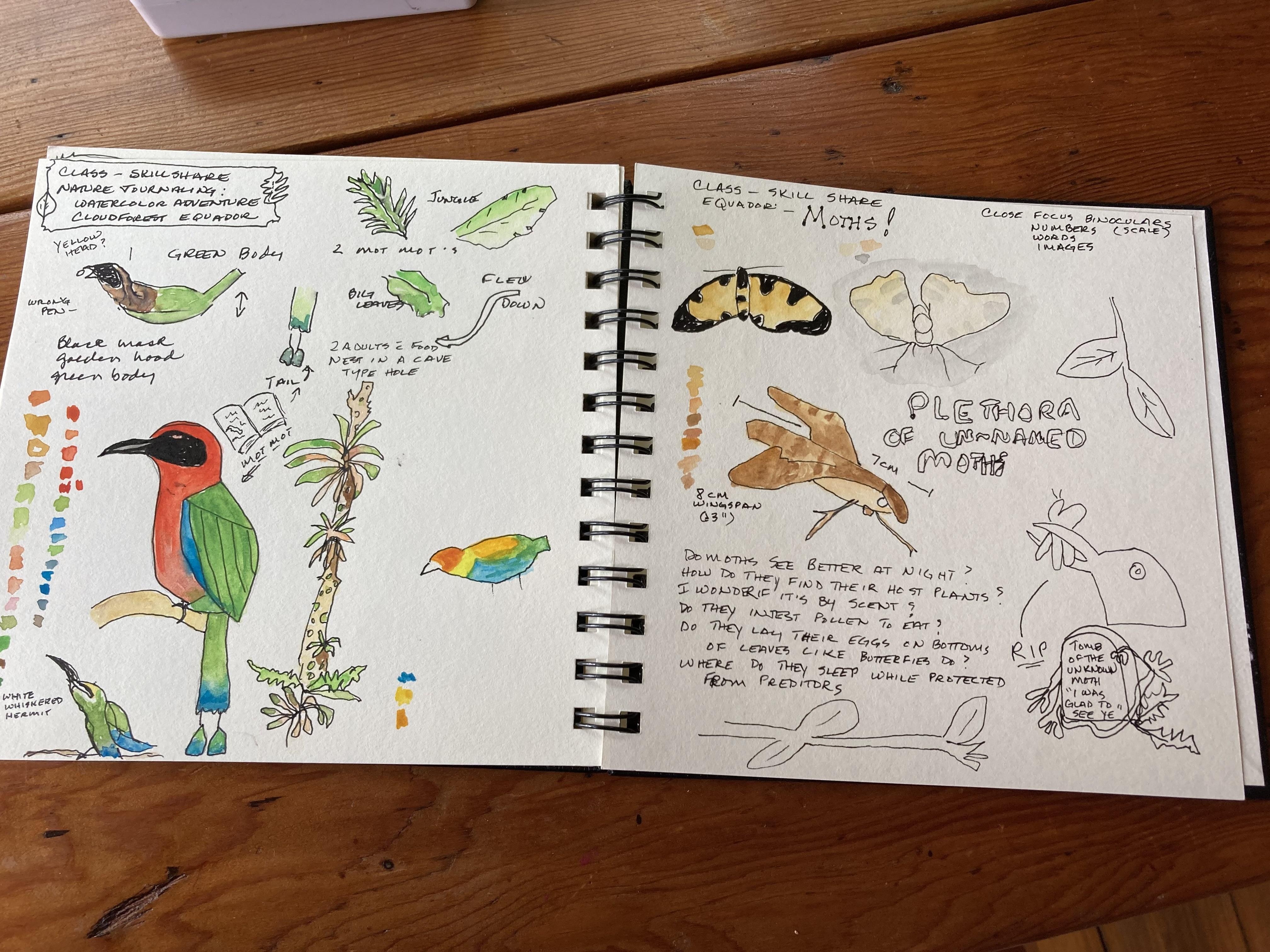 more-projects-from-class-img