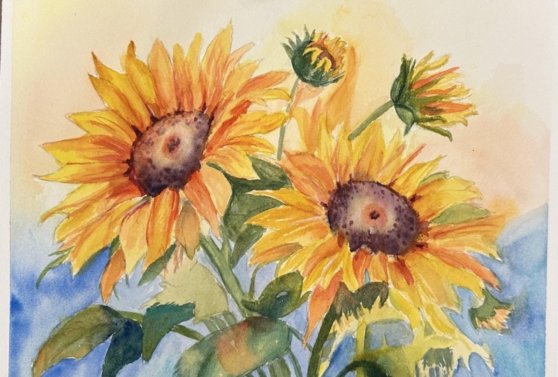 Sunflowers