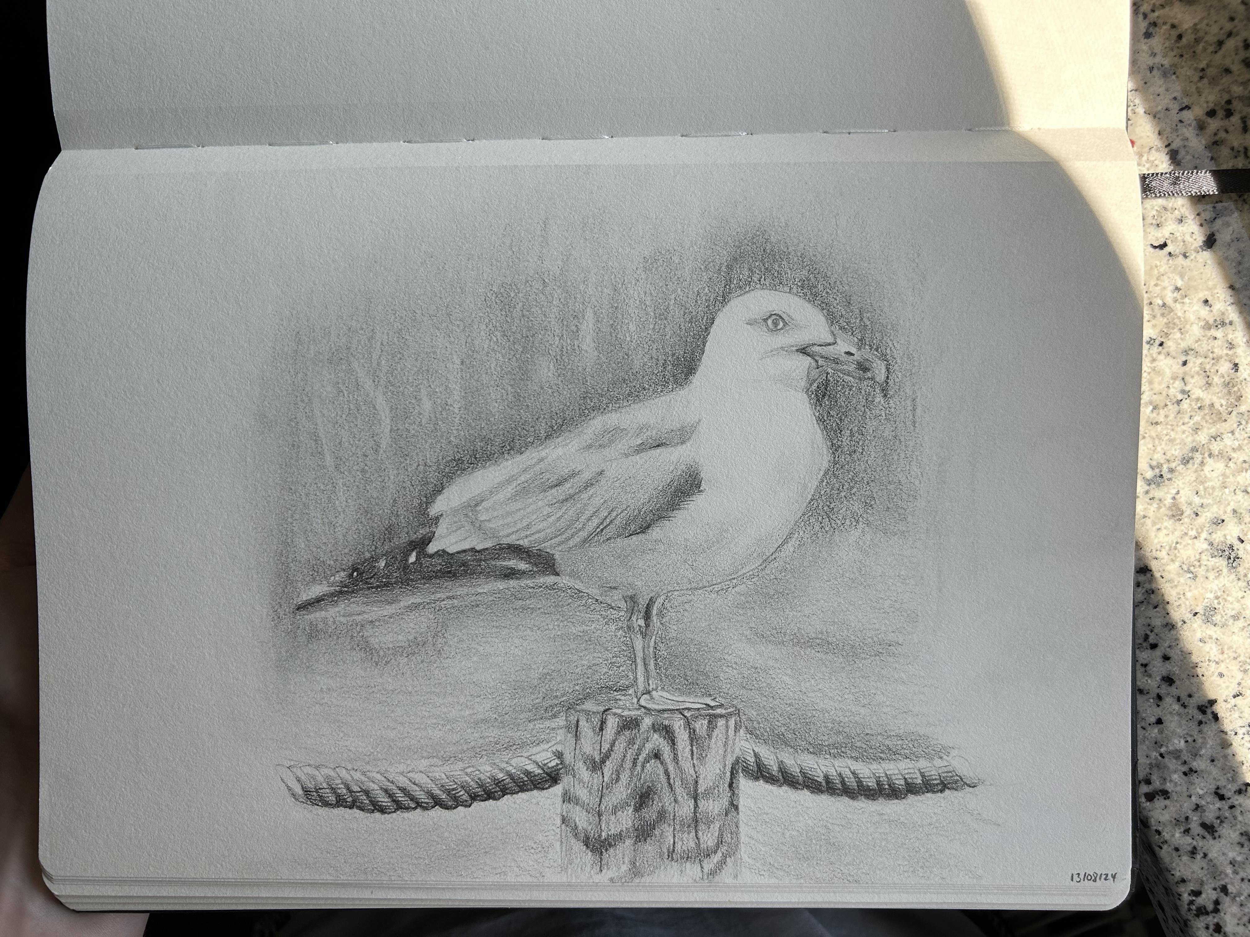 more-projects-from-class-img