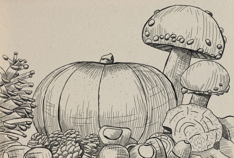 Paddestoel tekening