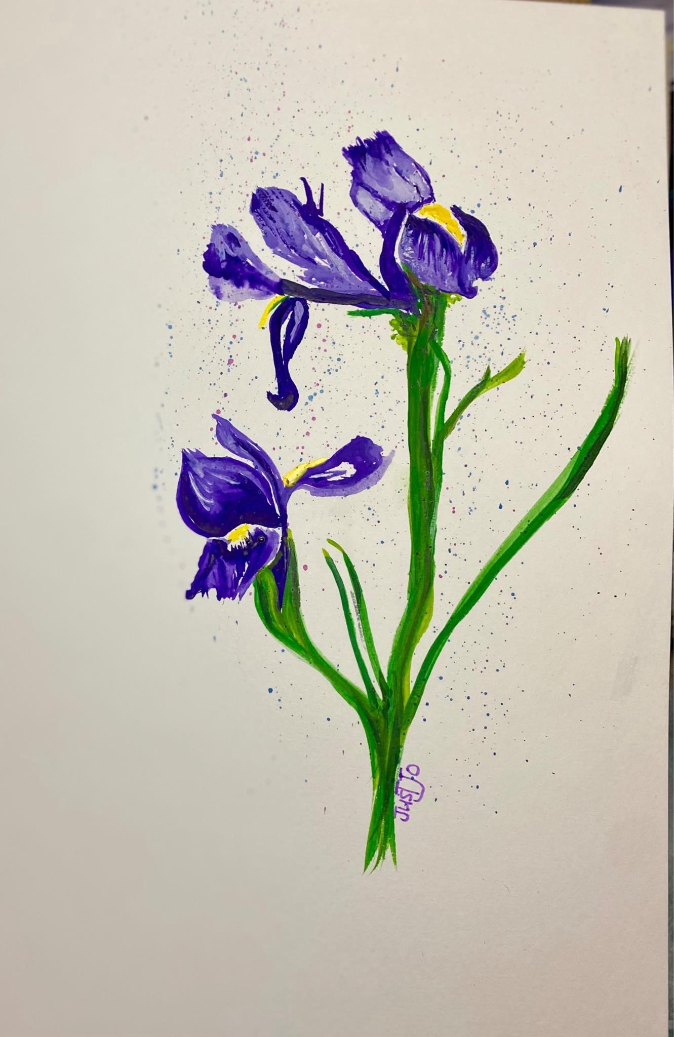 more-projects-from-class-img