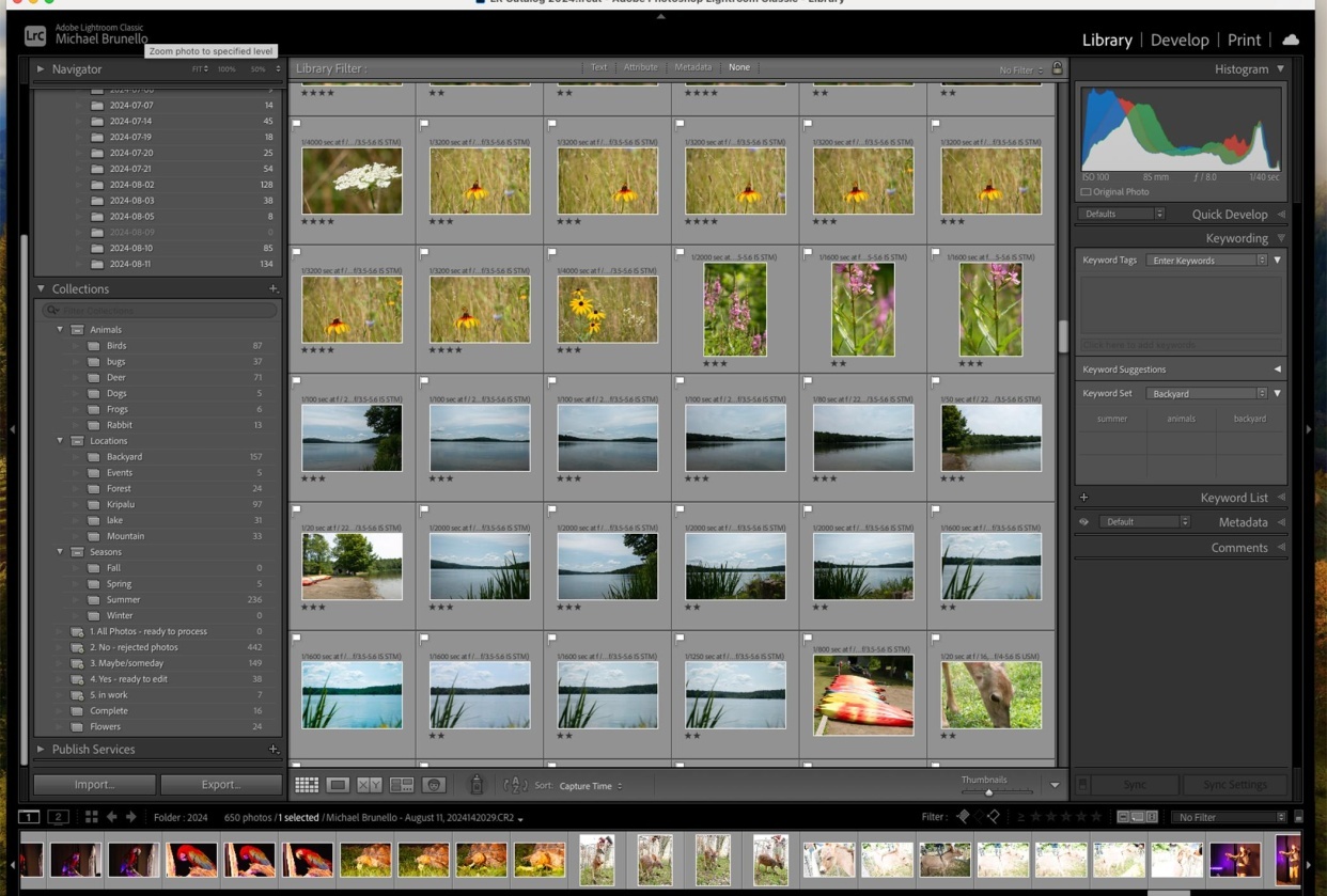 Lightroom Organization Project - student project