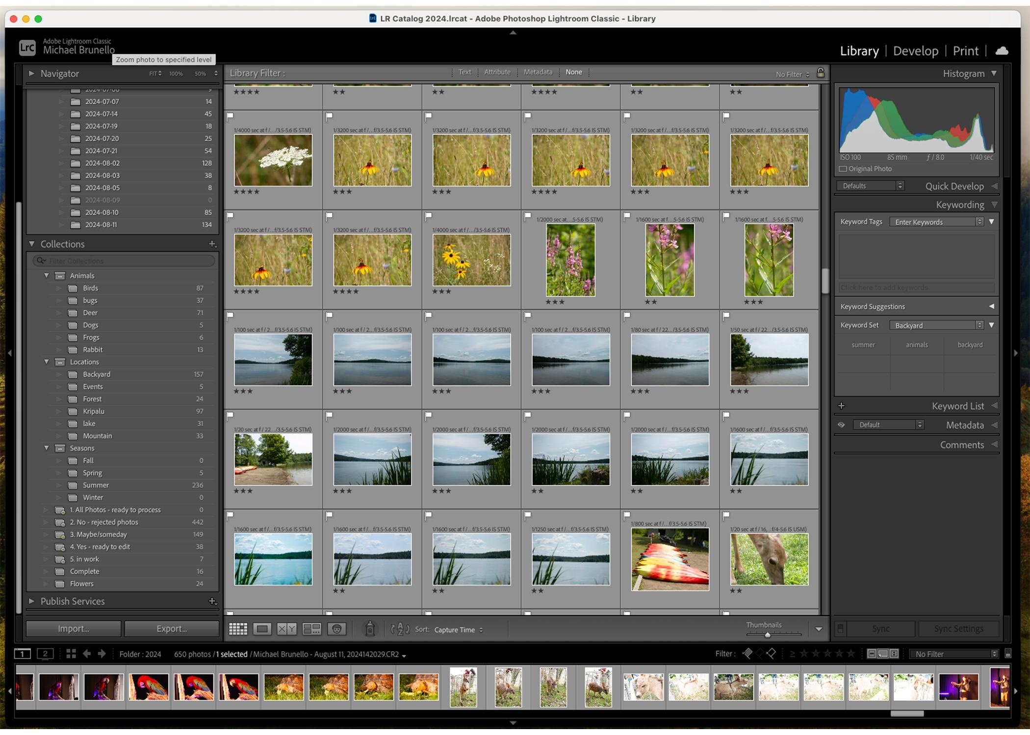 Lightroom Organization Project - student project