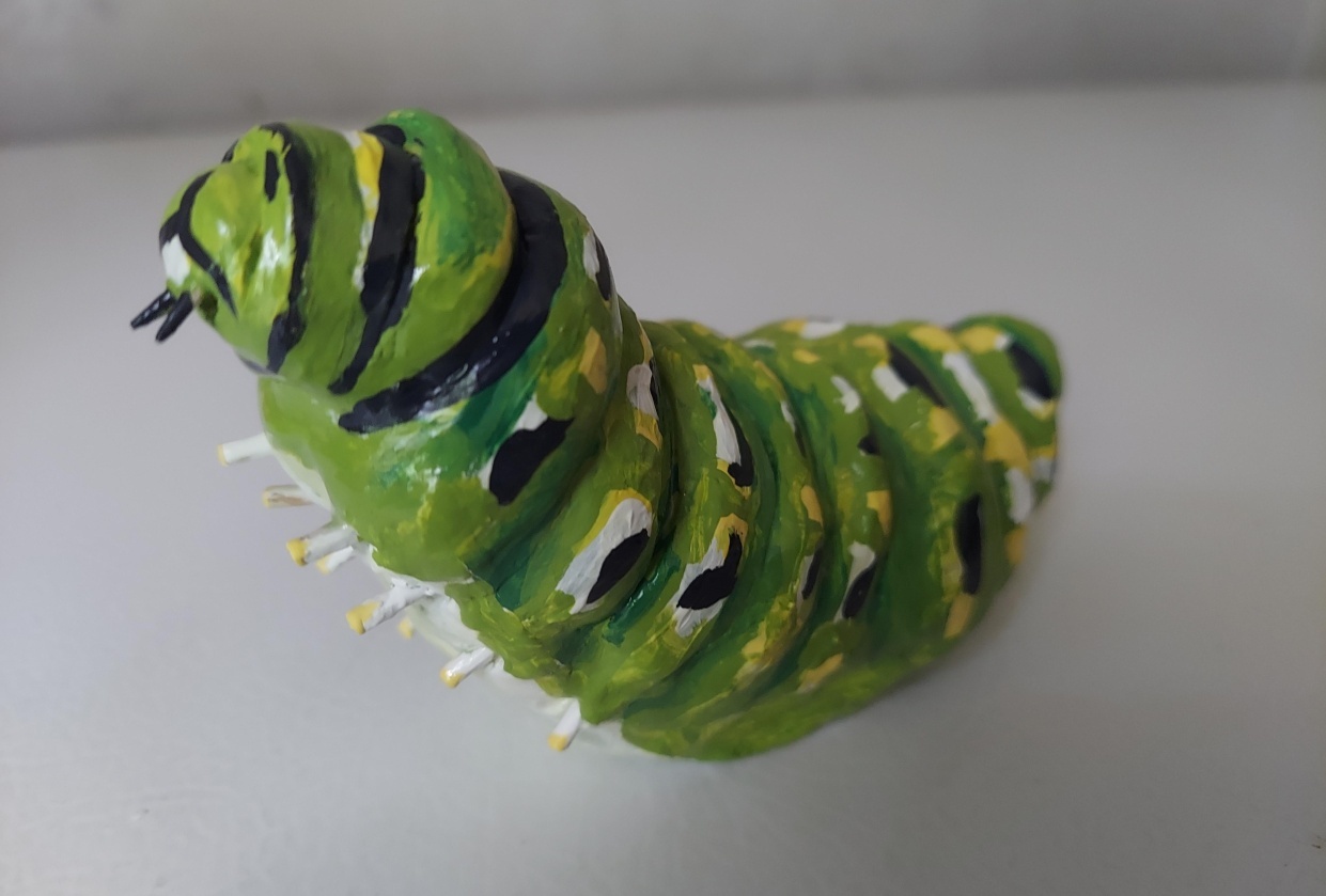 Clay caterpillar - student project