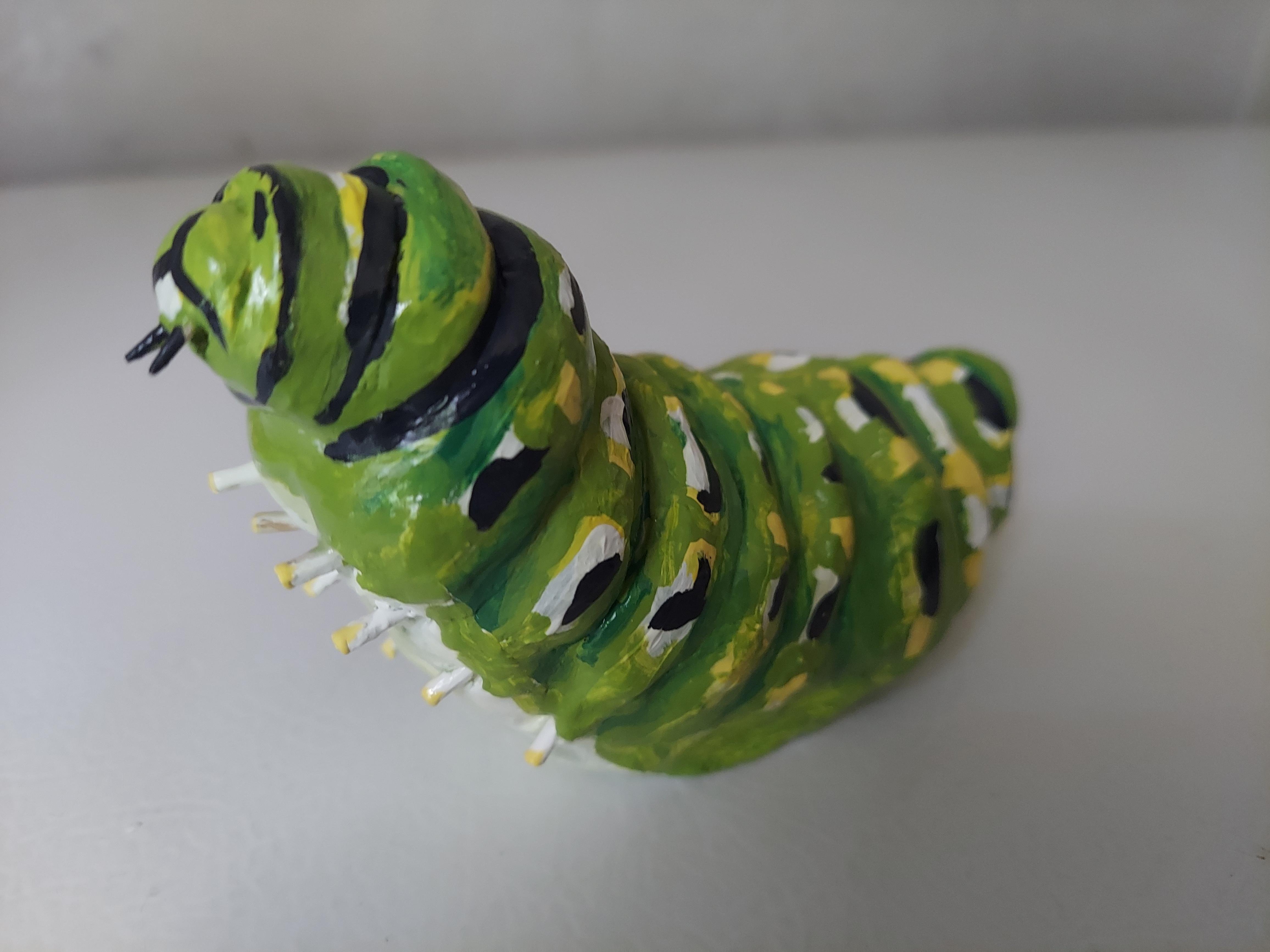 Clay caterpillar - student project
