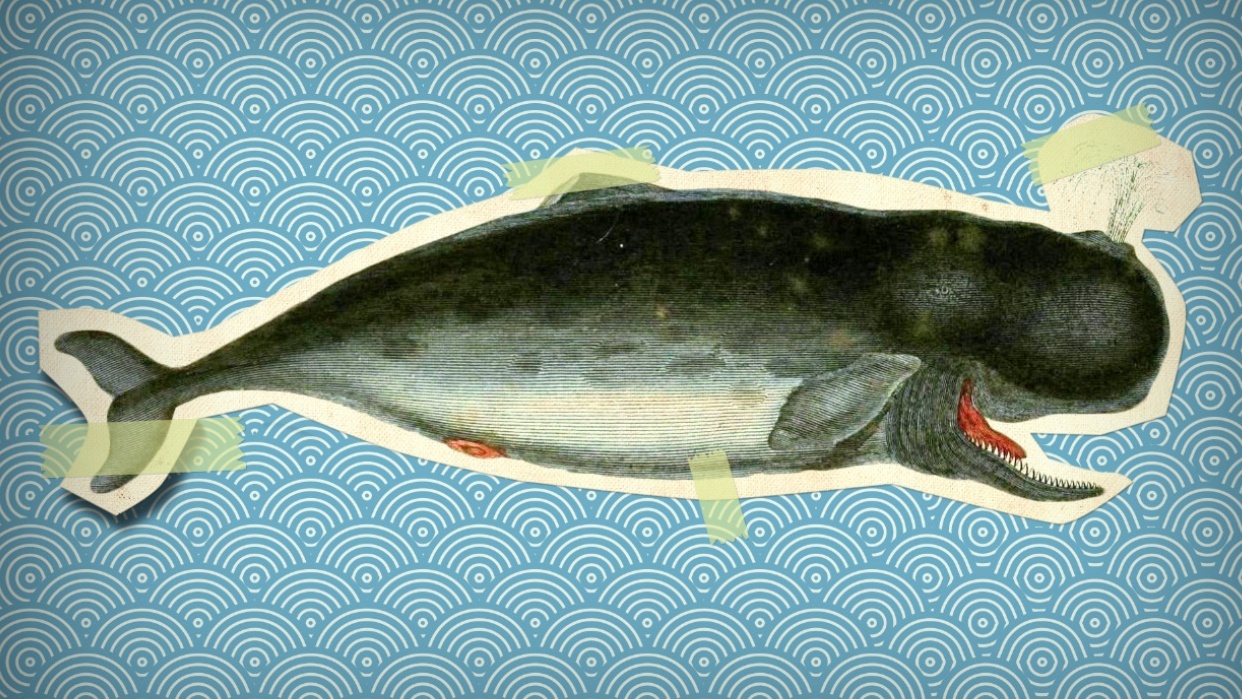 Vintage whale - student project
