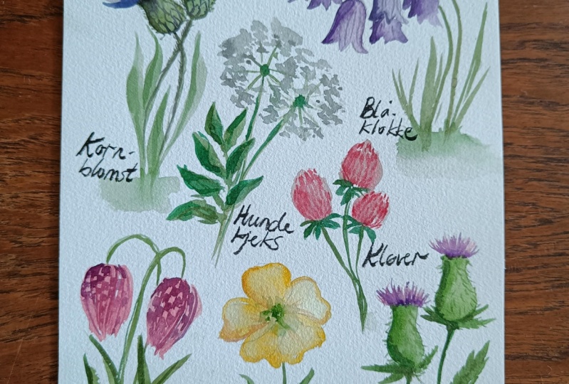 Wild flower poster