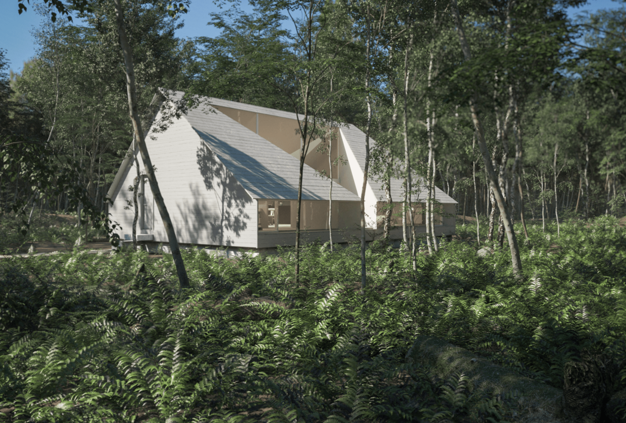 Forest House - student project
