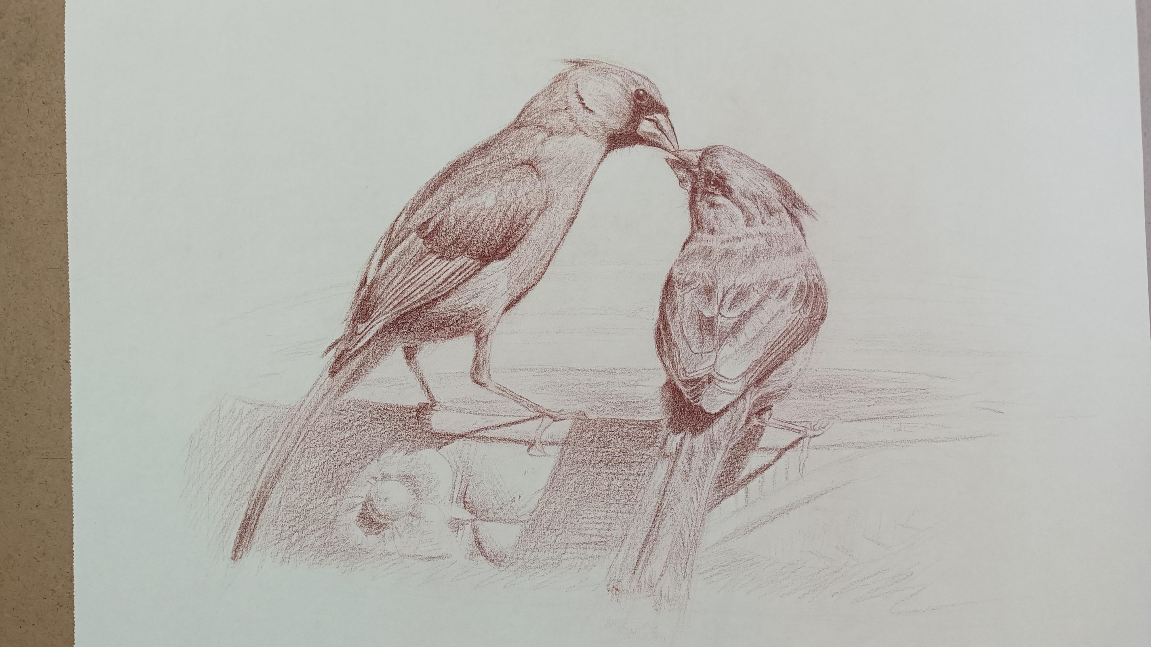 Cardinal project 2 - student project
