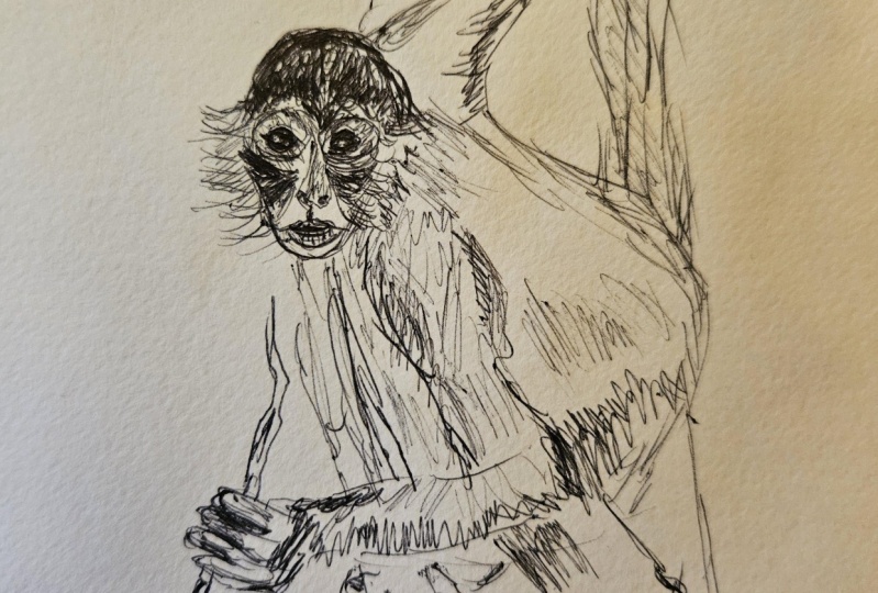 Ballpoint monkey sketch