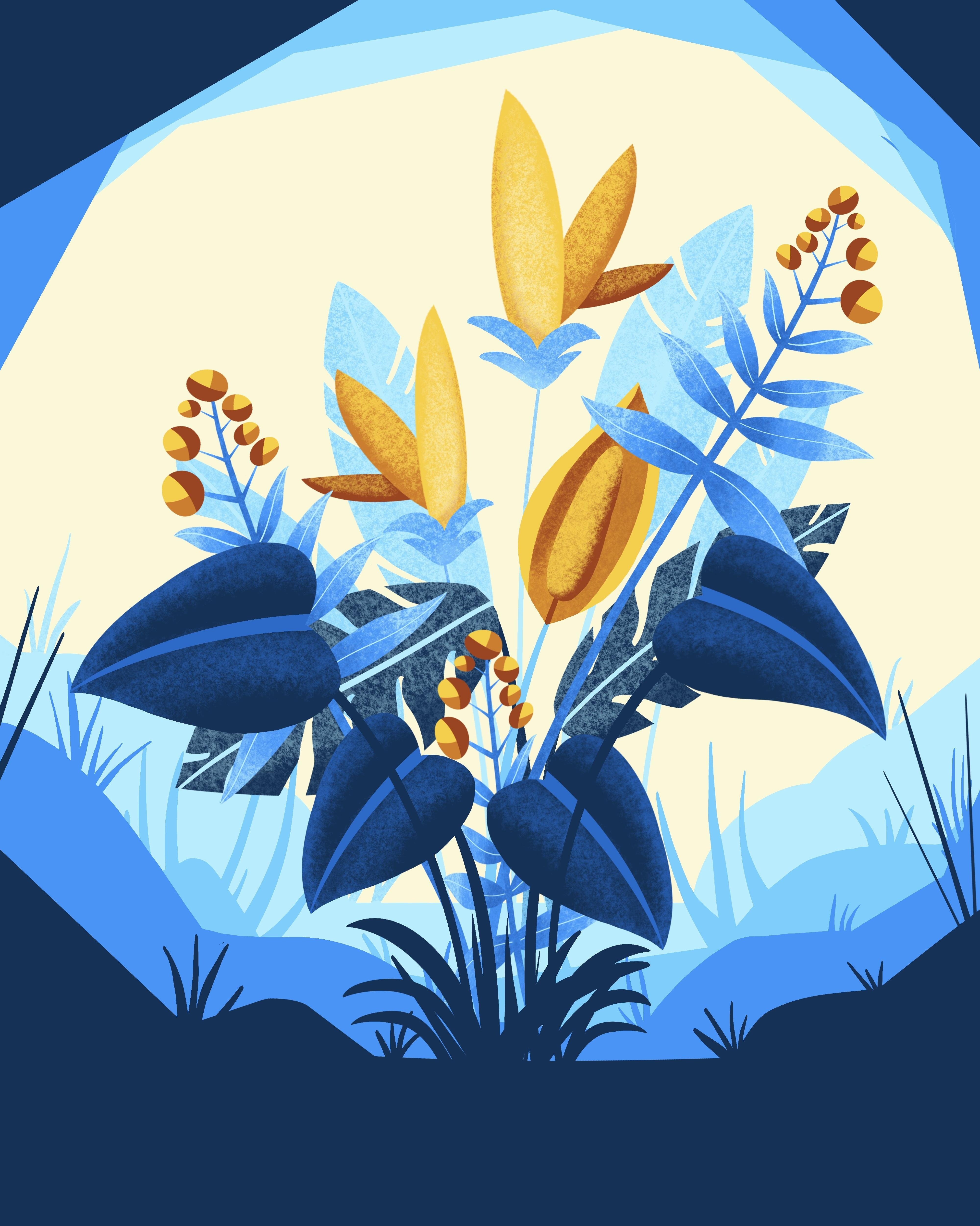more-projects-from-class-img