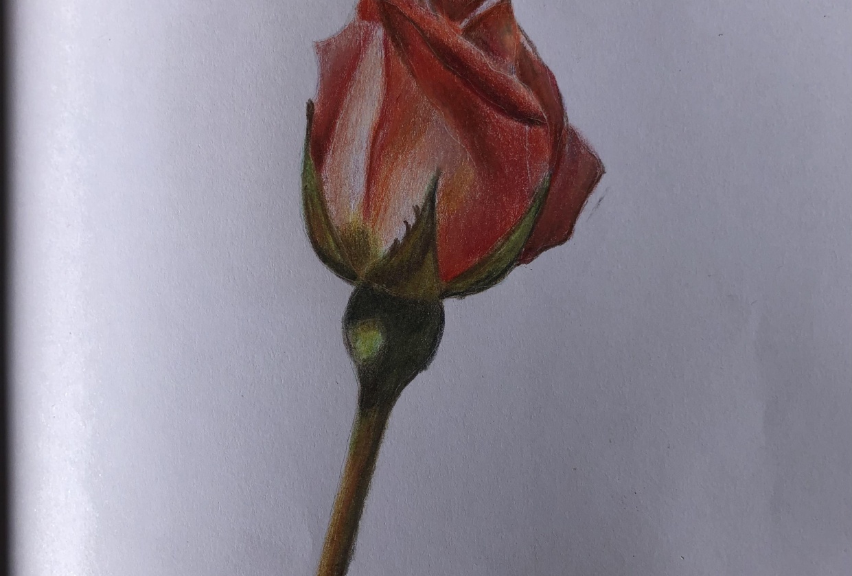  - student project