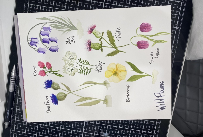 7 Day Wild Flower Challenge