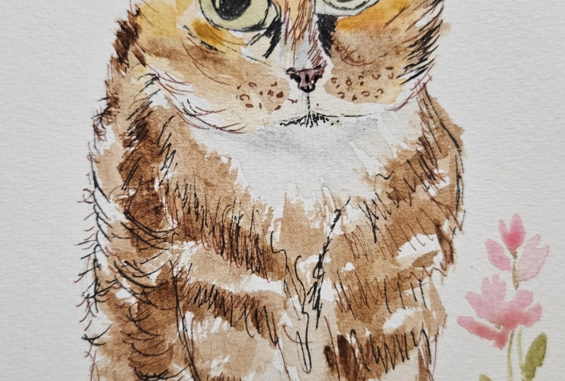 Lady Jane cat illustration