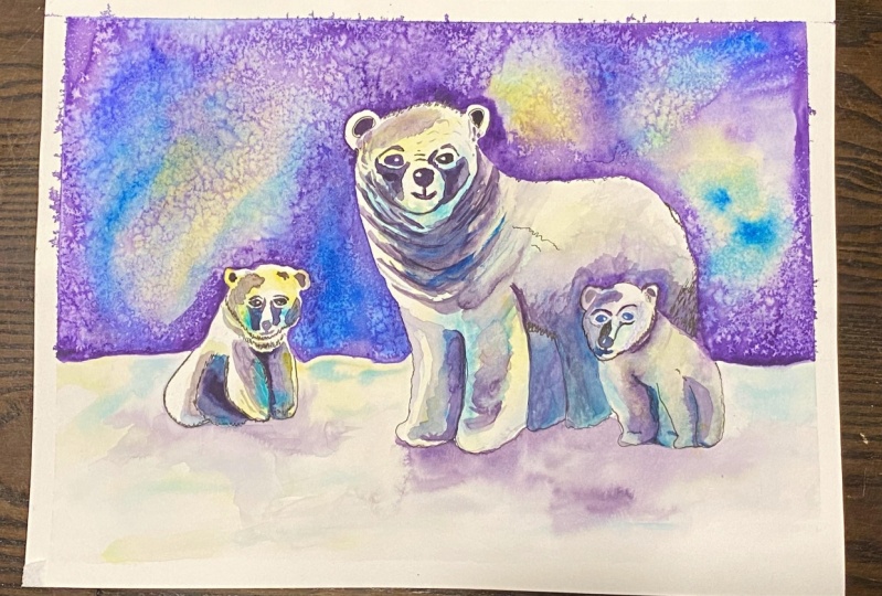 Polar Bears