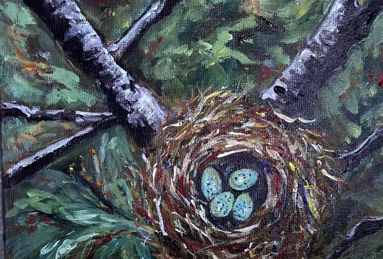 blue eggs in nest - student project