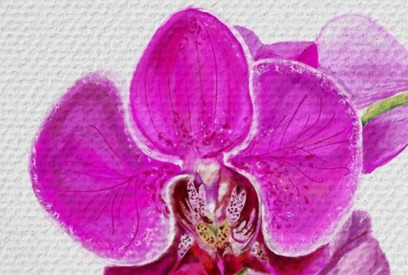 Orquídeas en Oleo digital