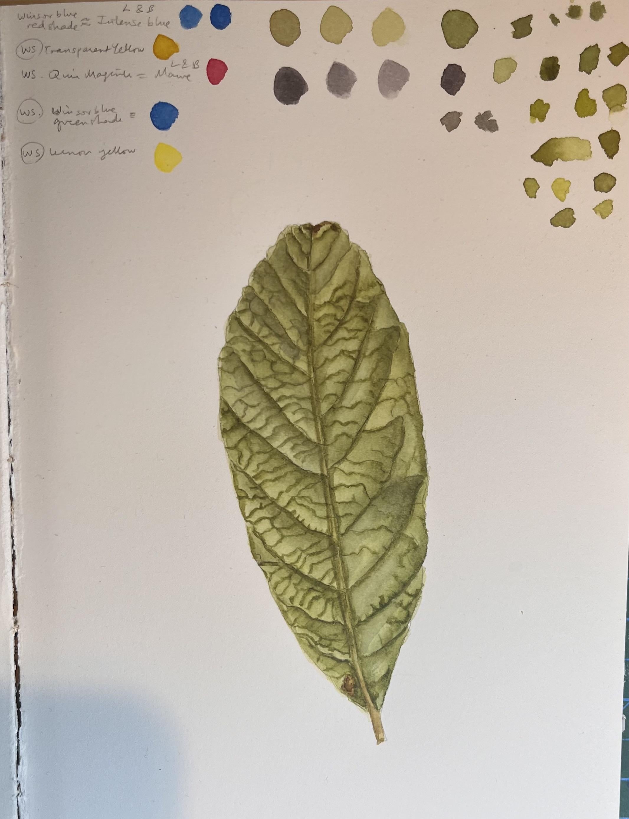 more-projects-from-class-img