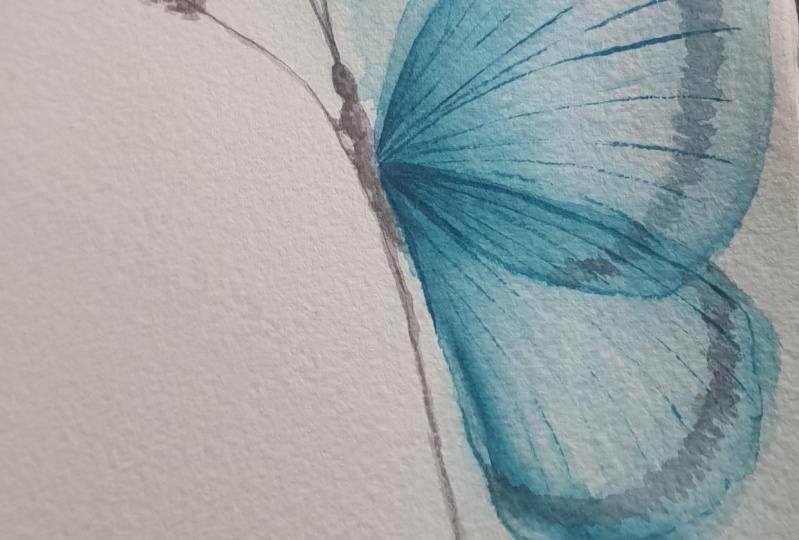 Different colours,  different papers