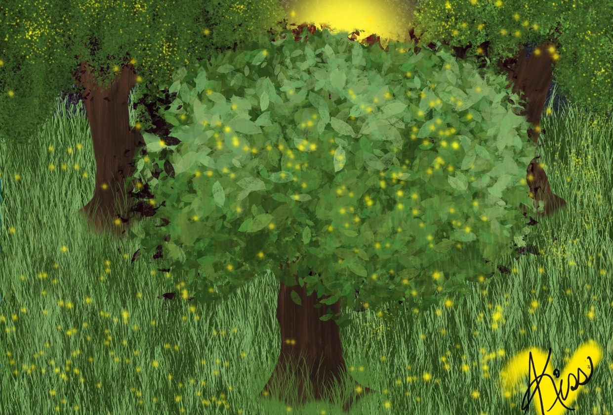 Firefly Forests - student project