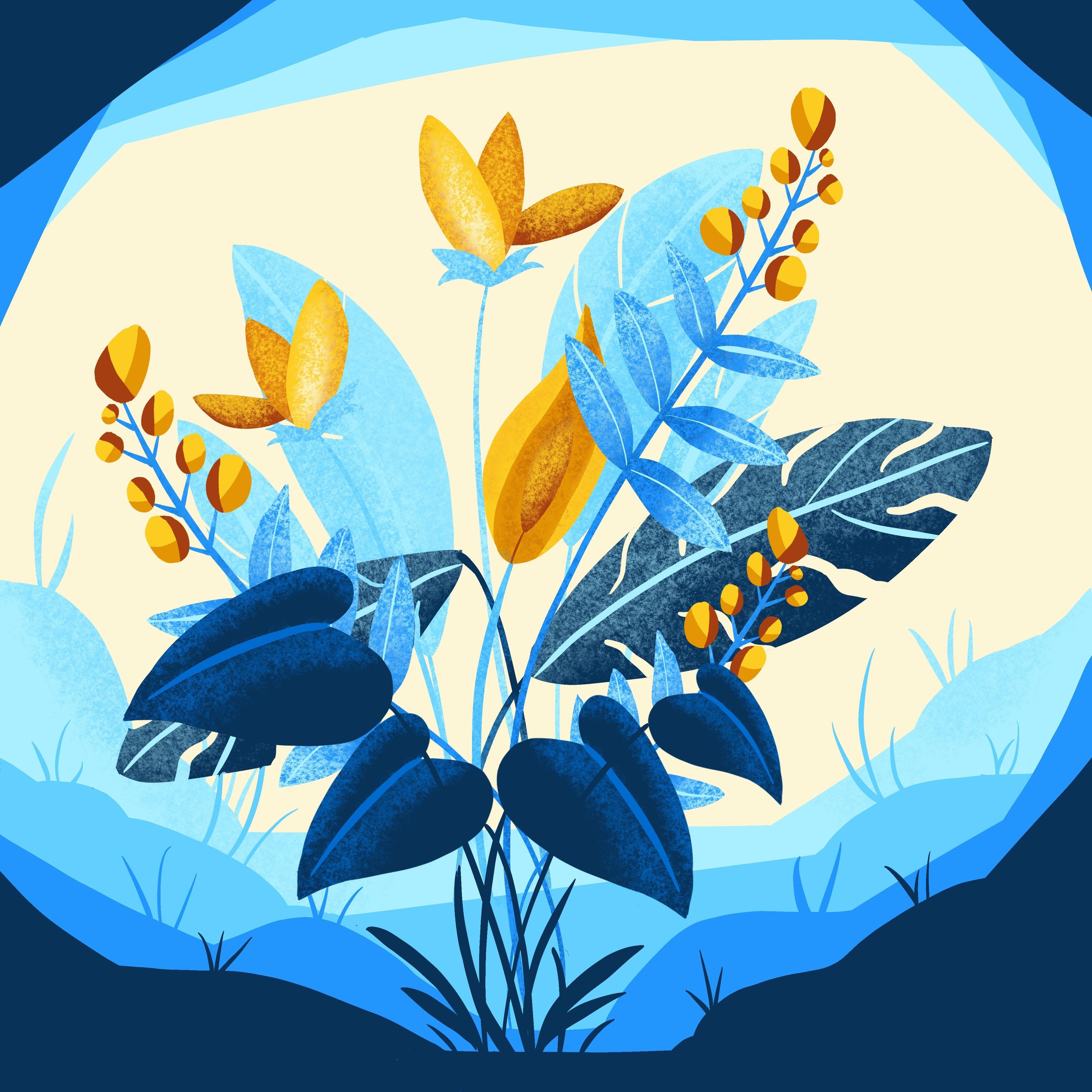 more-projects-from-class-img
