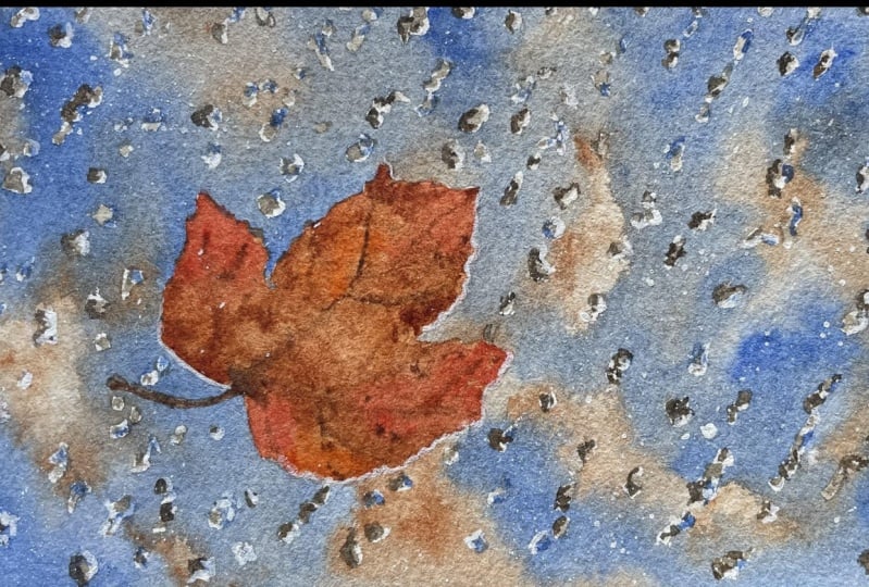 autumn leaf & raindrops