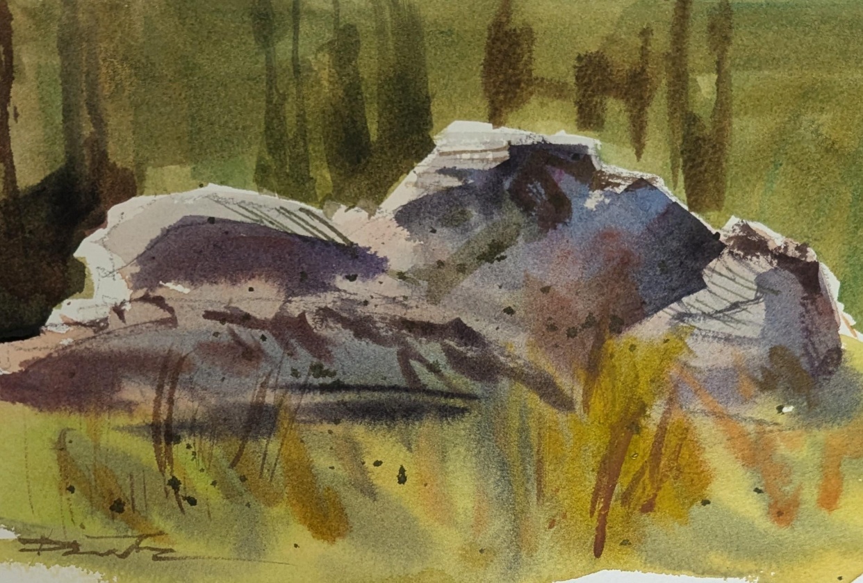 Rocks and grass - student project