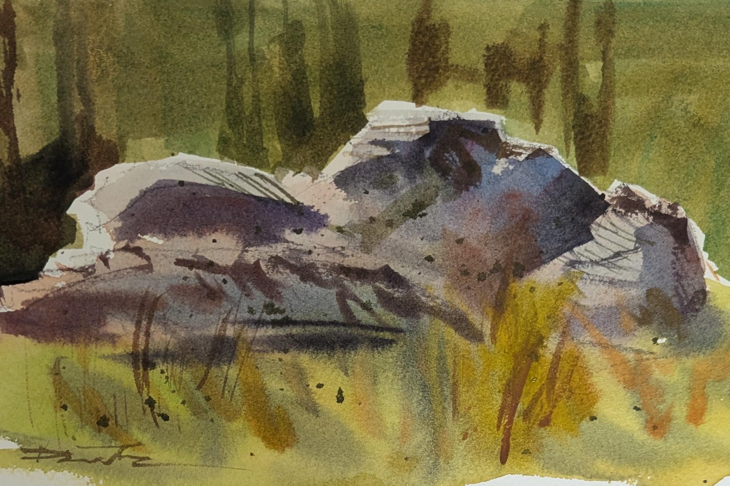 Rocks and grass - student project