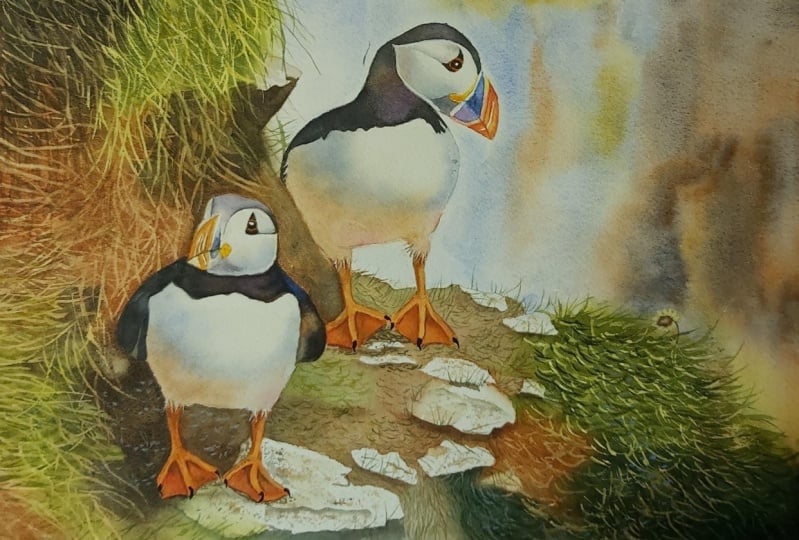 Puffins
