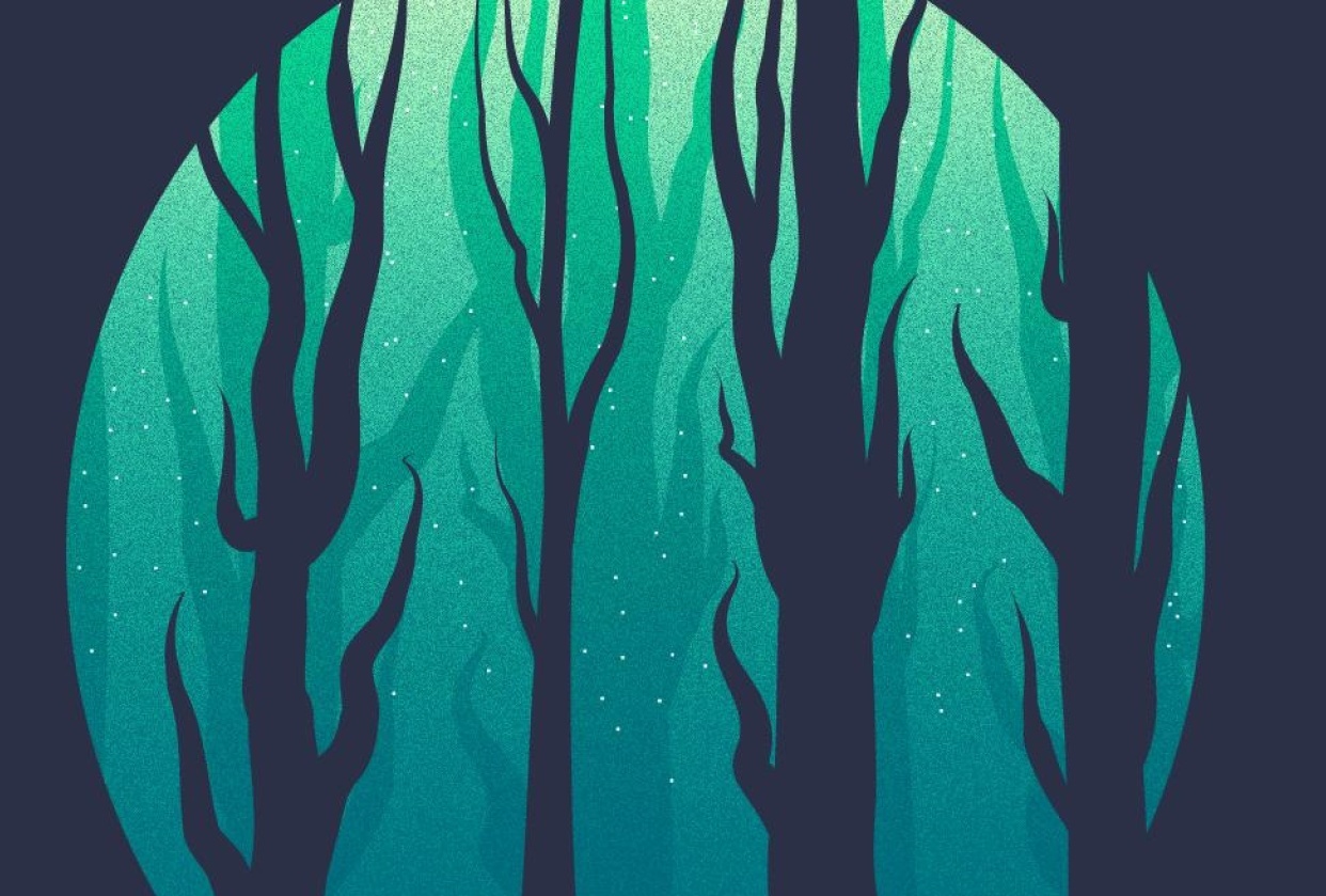 Silhoutte Forest. - student project