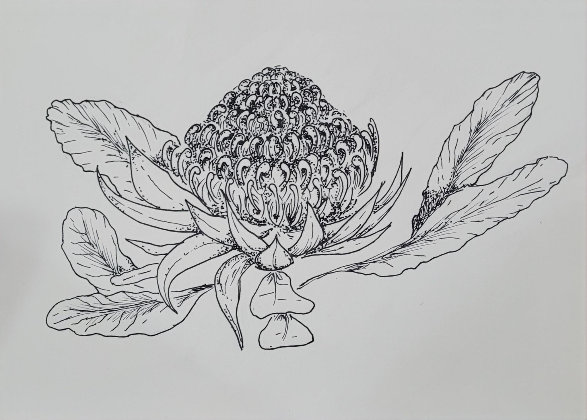more-projects-from-class-img