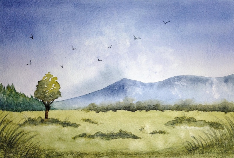 Loose landscape