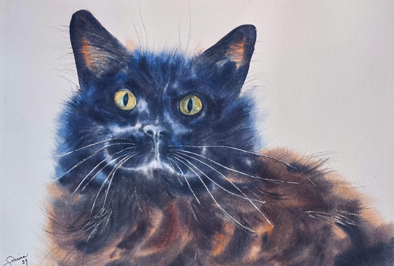 Realistic BLACK Animals
