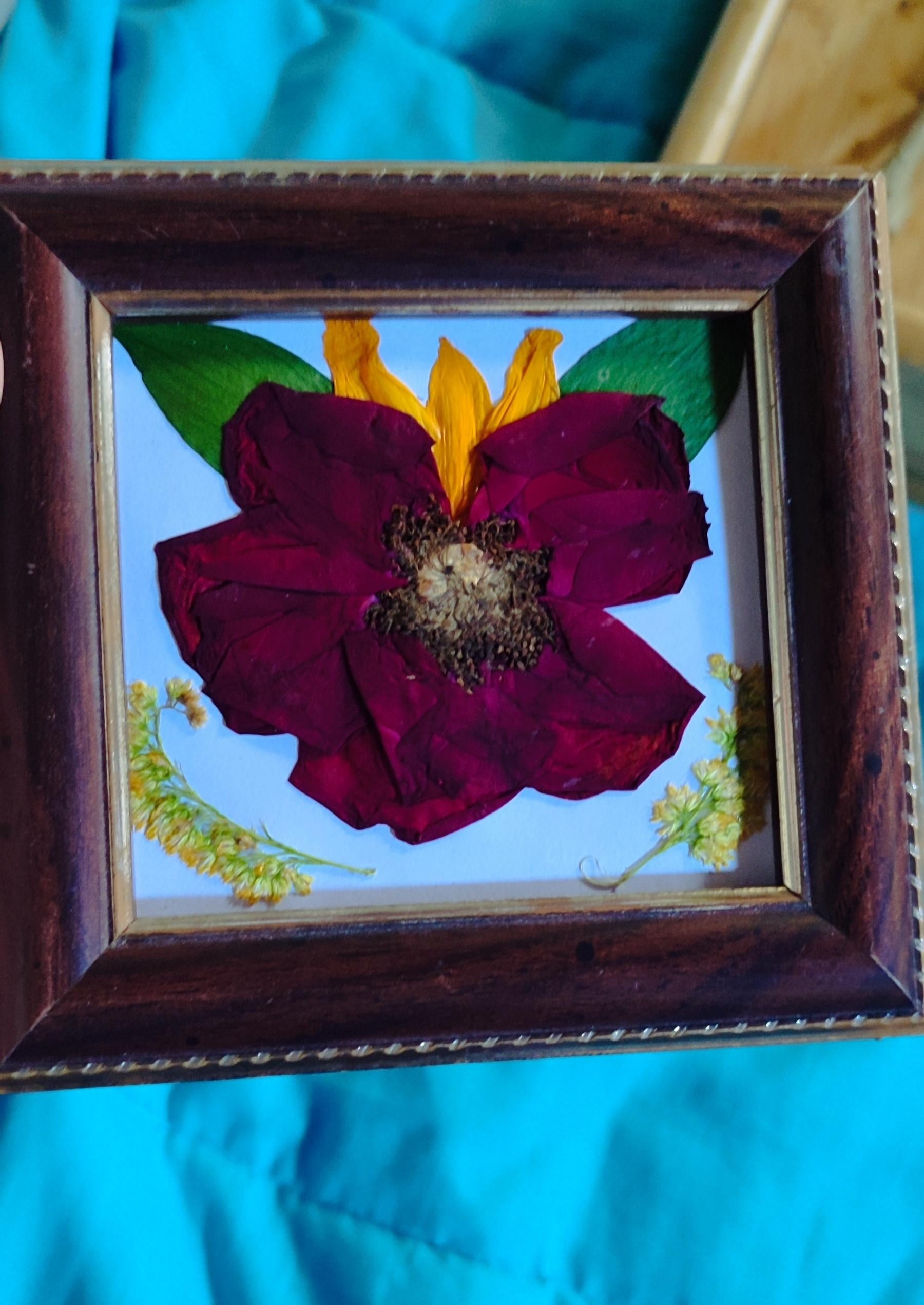 more-projects-from-class-img