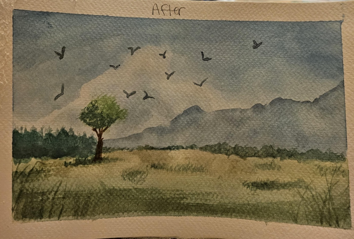 Loose Landscape -Before vs. After - student project