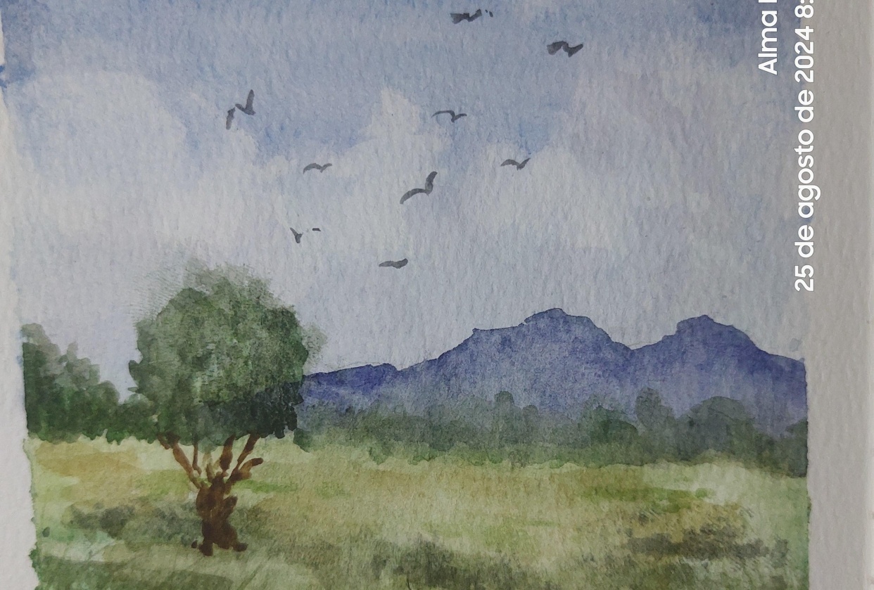 Paisaje libre - student project