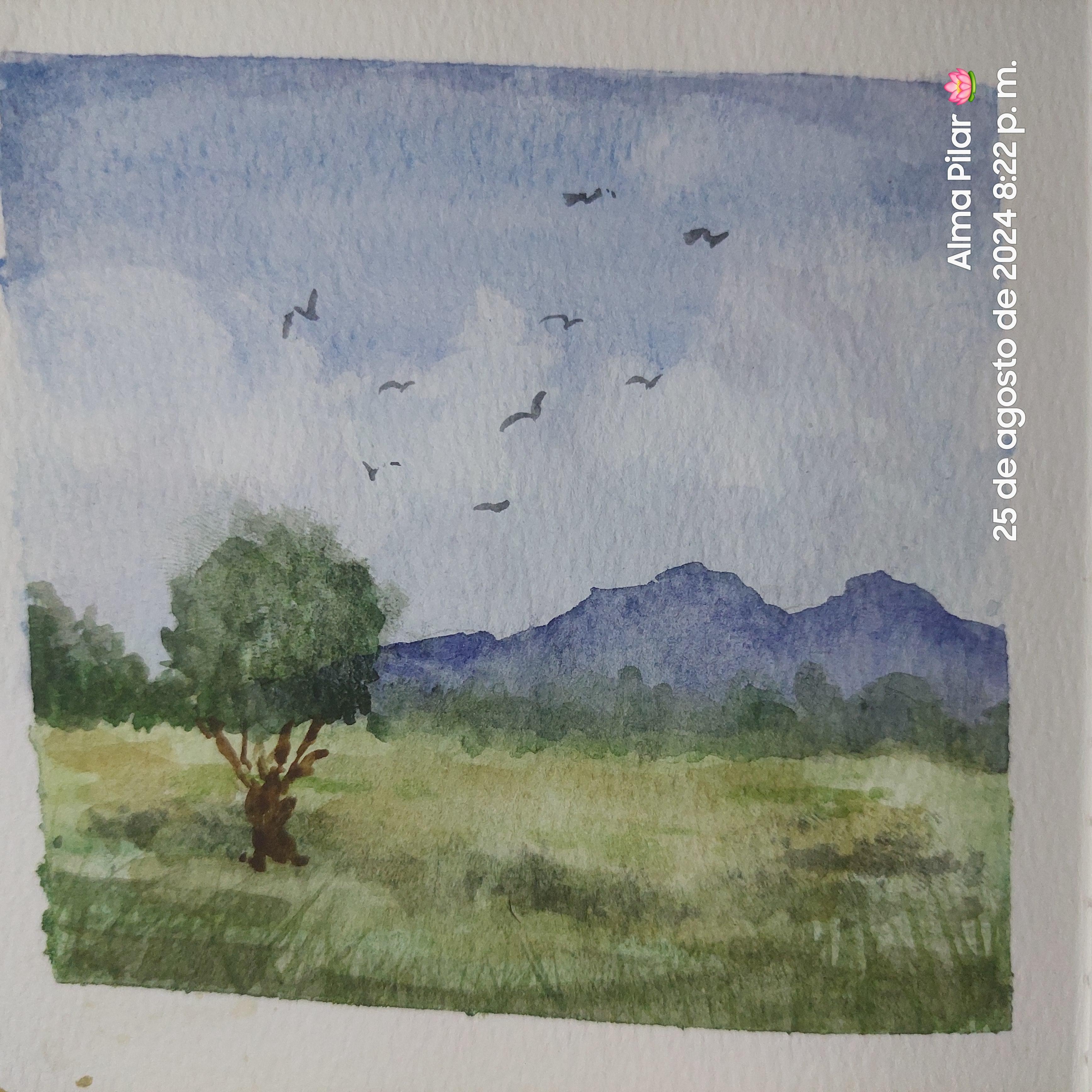 Paisaje libre - student project