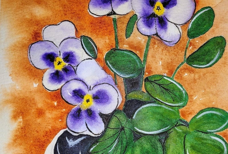 Pansies