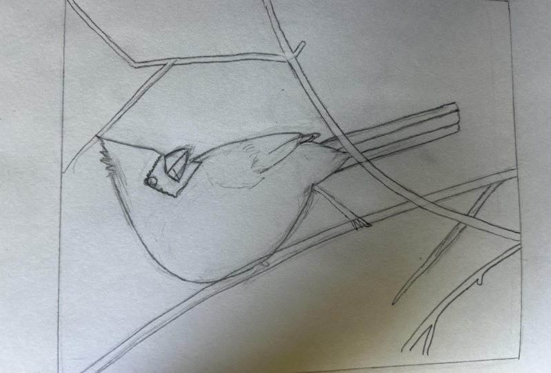 Cardinal Project