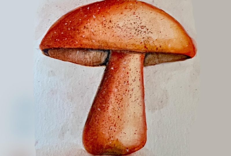 Mushroom