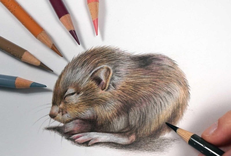 Mouse Project