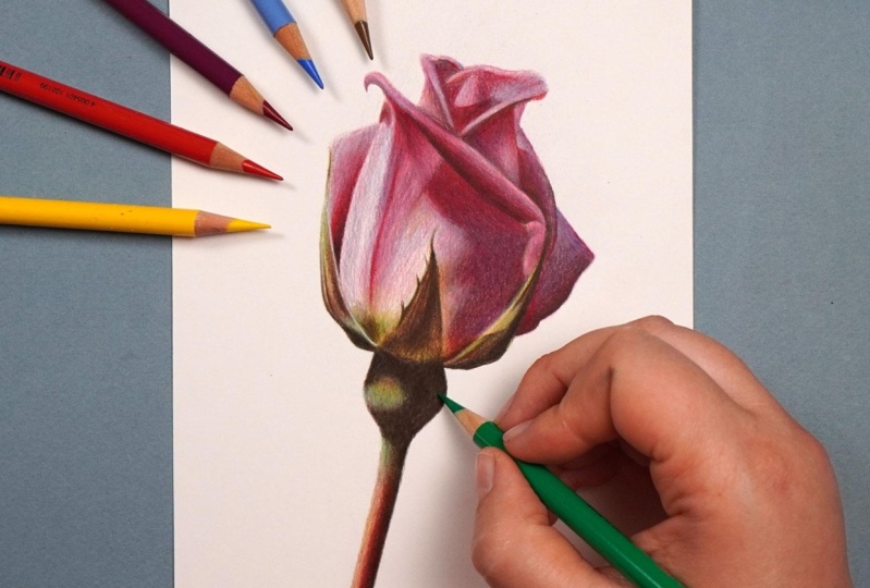 Rose Project