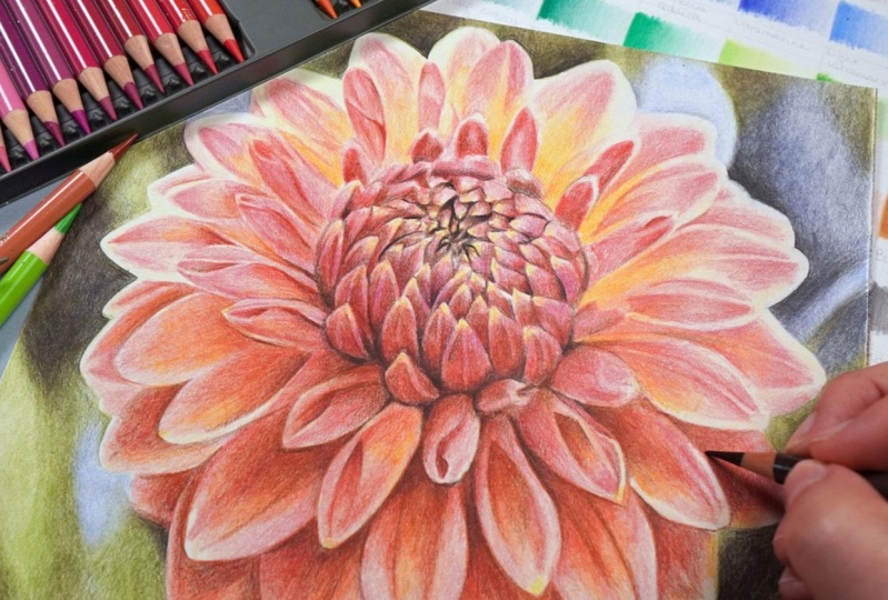 Dahlia Project