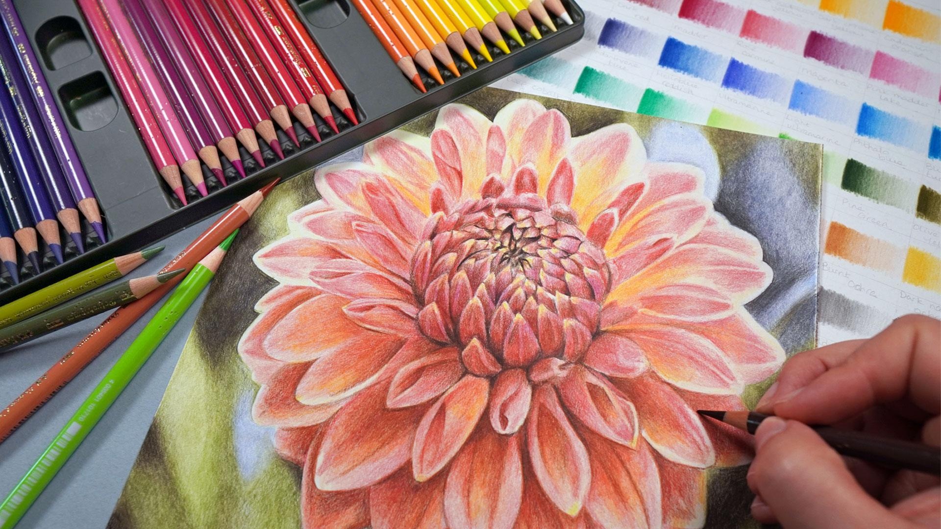 Dahlia Project - student project