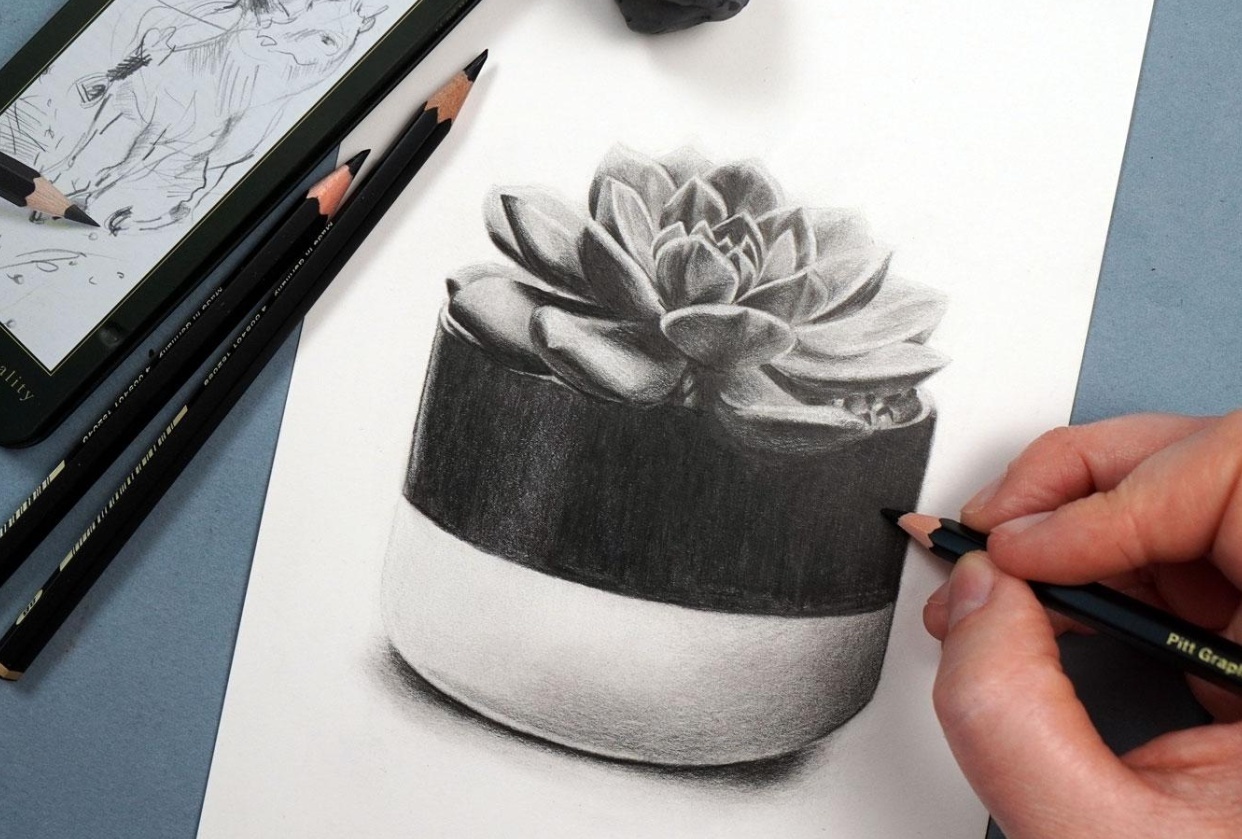 Succulent Plant - student project