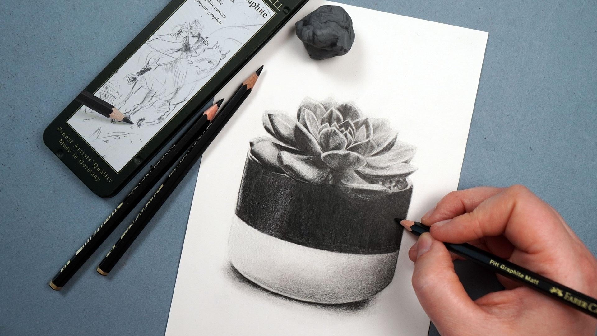 Succulent Plant - student project