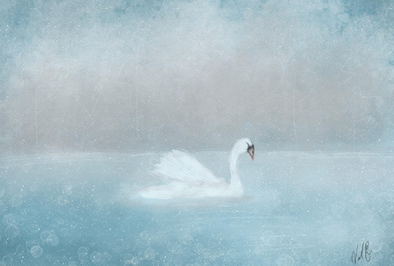 El lago de los Cisnes