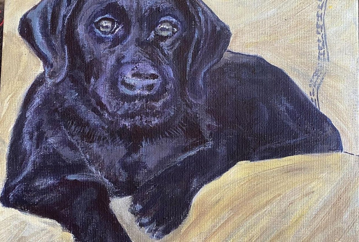 Black Dog - student project